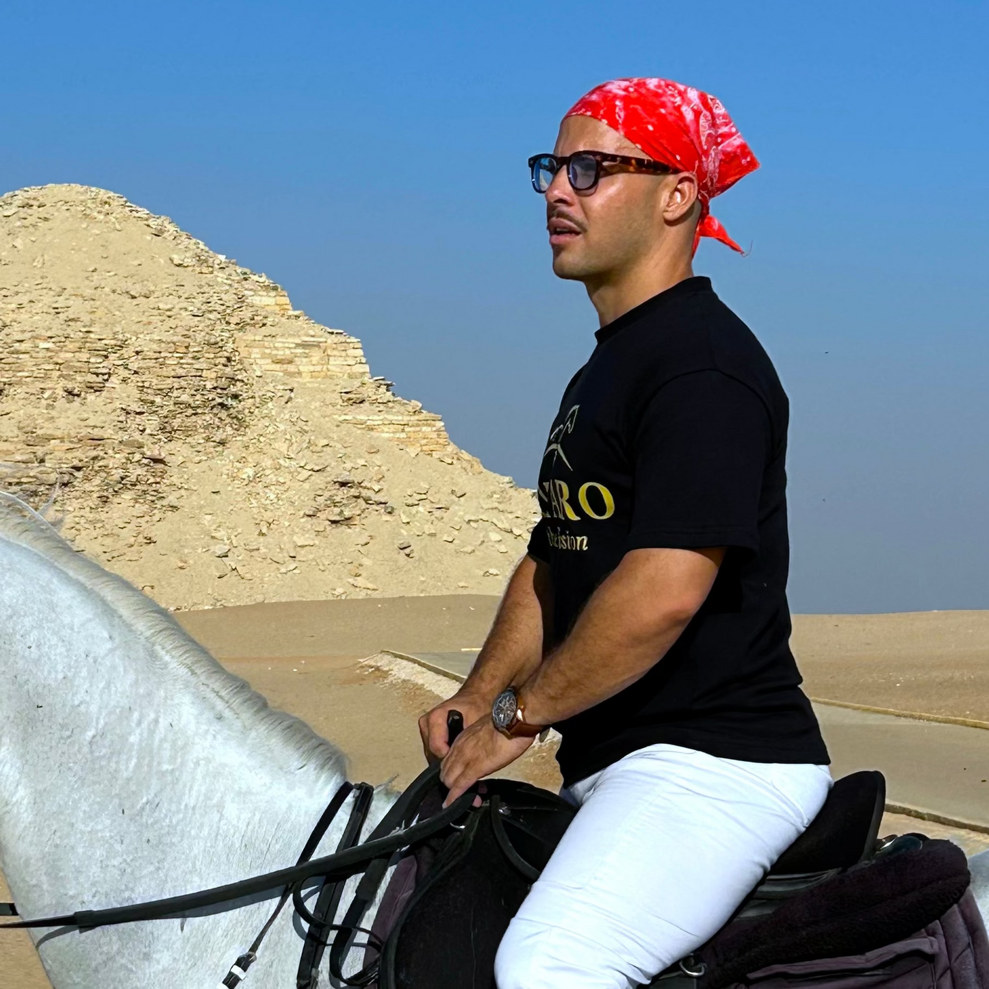 Solyaro Friesian Black Tshirt - Freedom Fit