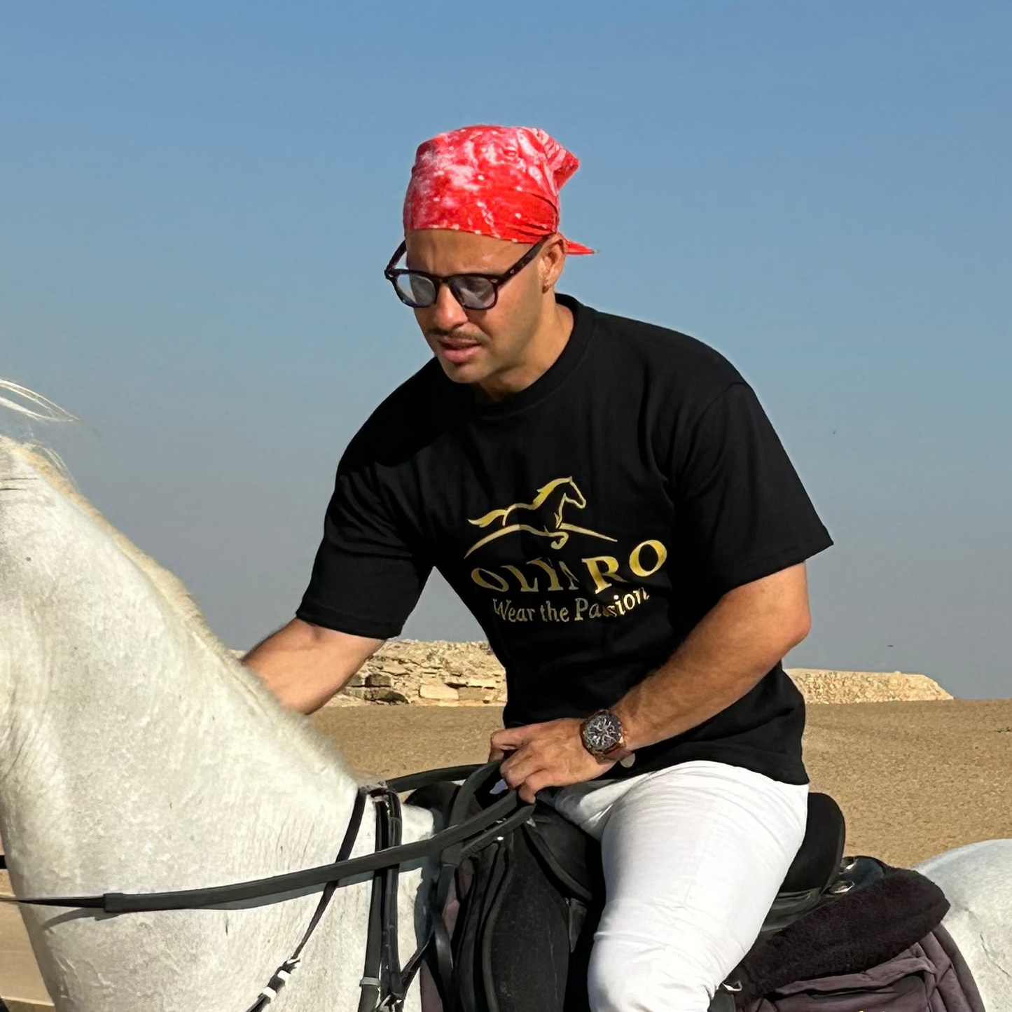 Friesian Black Tshirt  Solyaro Freedom Signature Fit