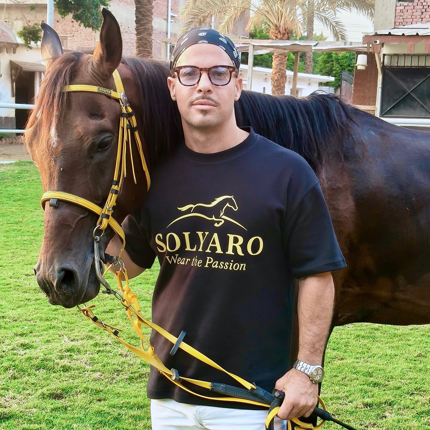 Solyaro Friesian Black Tshirt - Freedom Fit