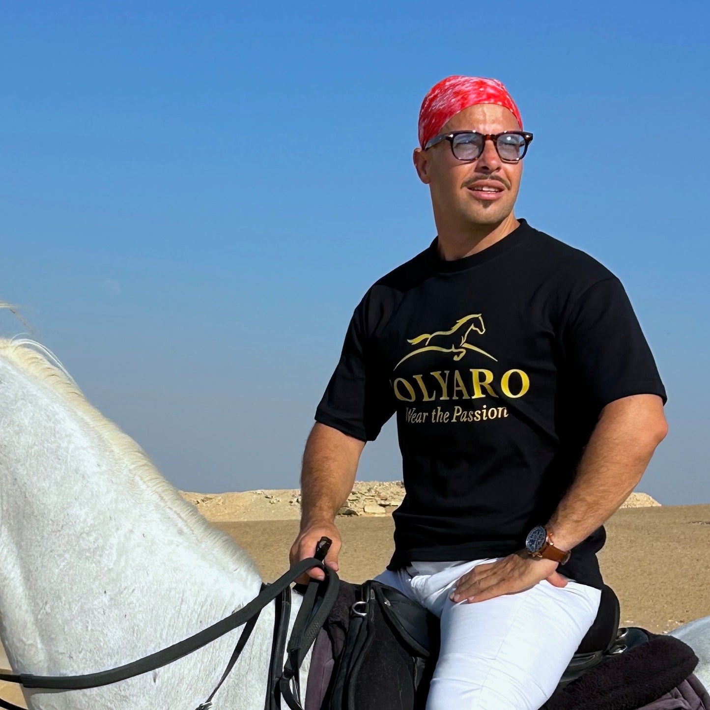 Solyaro Friesian Black Tshirt - Freedom Fit